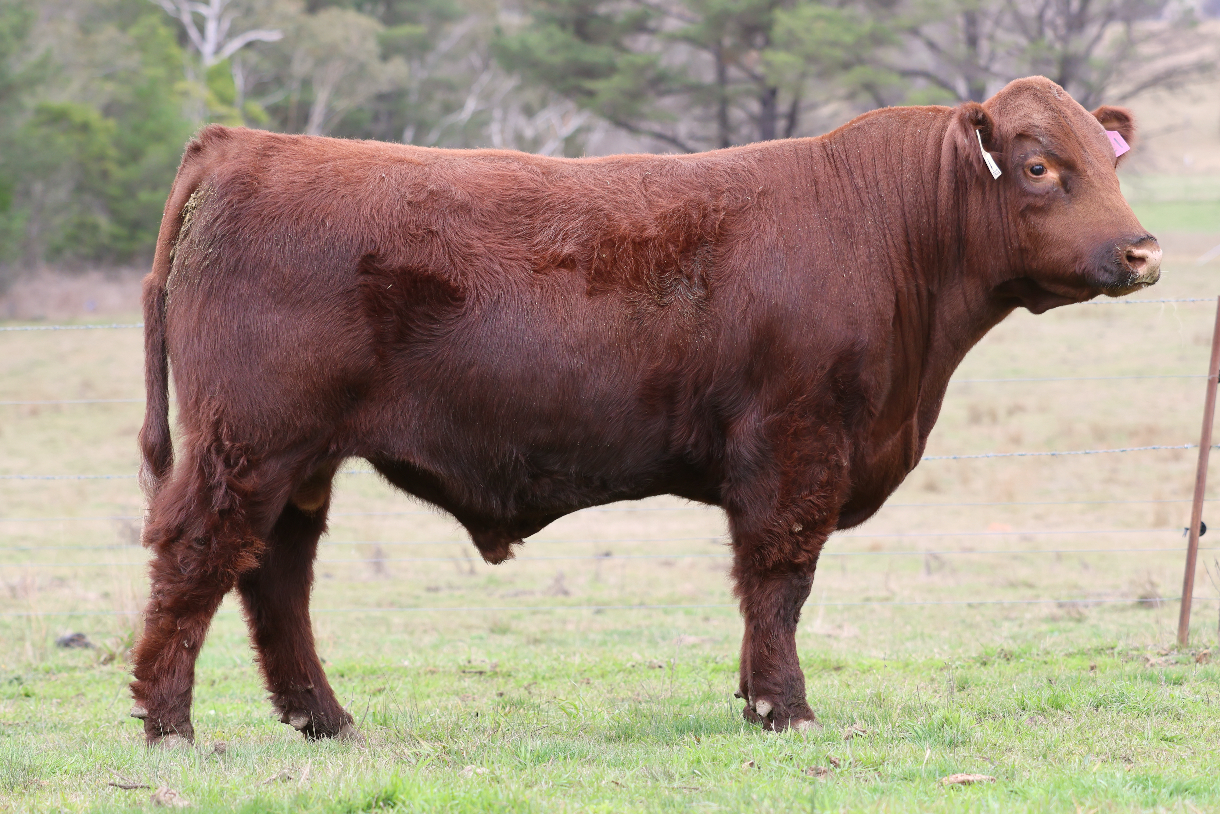 LOT 4