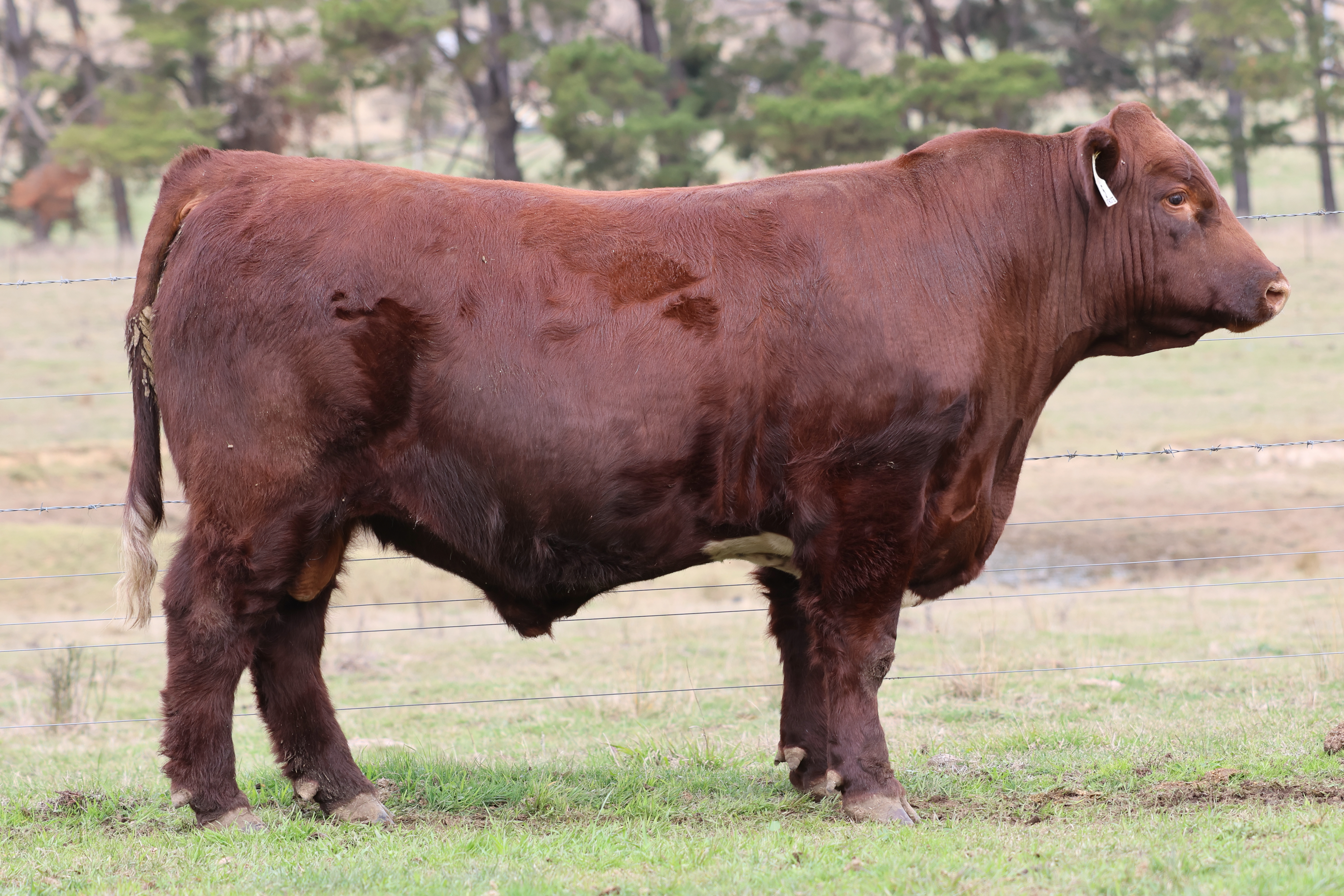 LOT 5